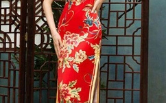 超级人生 小说免费